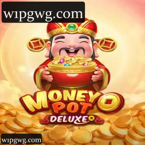 MoneyPotDELUXE